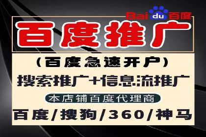 搜索引擎营销（SEM）的创意与执行——以多个行业成功案例为教学